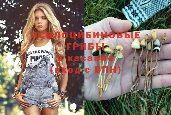 2c-b Балабаново