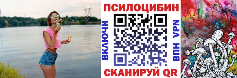 Псилоцибиновые грибы GOLDEN TEACHER  Купить закладки  Сысерть 